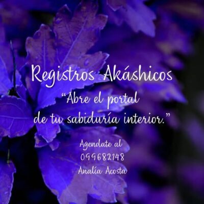 Registros Akashicos